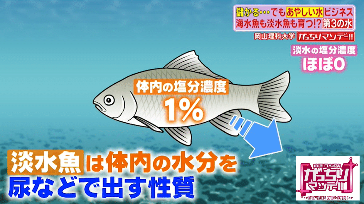 あやしい 水 ビジネスの現場に潜入 岡山の山奥で発見 海の魚も川の魚も育つ 第３の水 空気から飲み水を作る謎のマシン登場 そのカラクリとは がっちりマンデー Note編 がっちりスクール Note