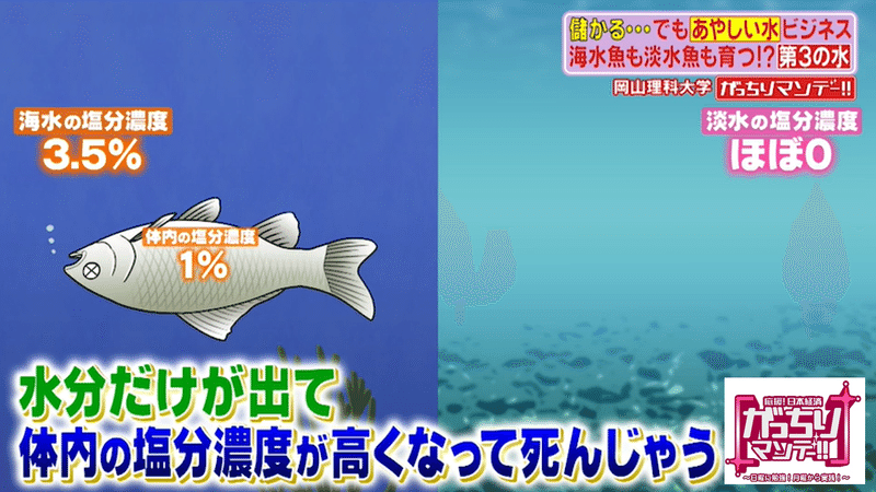 あやしい 水 ビジネスの現場に潜入 岡山の山奥で発見 海の魚も川の魚も育つ 第３の水 空気から飲み水を作る謎のマシン登場 そのカラクリとは がっちりマンデー Note編 がっちりスクール Note