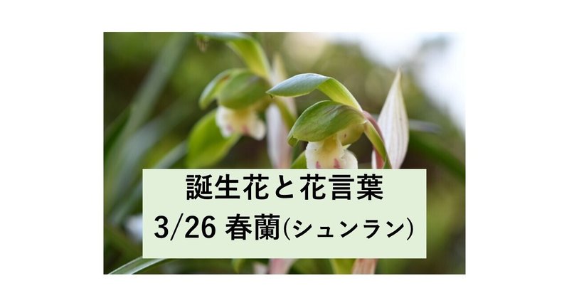 3/26の誕生花と花言葉（春蘭）