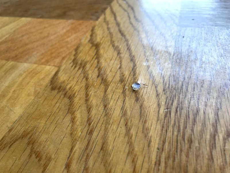 リビングの床をdiy カーペット 床暖を外してクッションフロア貼り 吉田拓実 さいこうファーム Okhotsk Bihoro Note