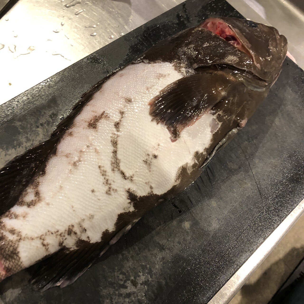 ハタの煮付け 煮付けとは 料理で世界を変える挑戦喜劇 By Yu Note