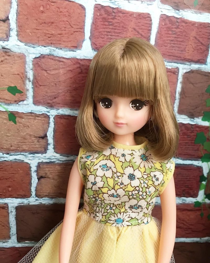 リカちゃんの友達 きらちゃん ってご存知ですか という話からの 久しぶりにすず太郎怒りmax の話 すず太郎 Note