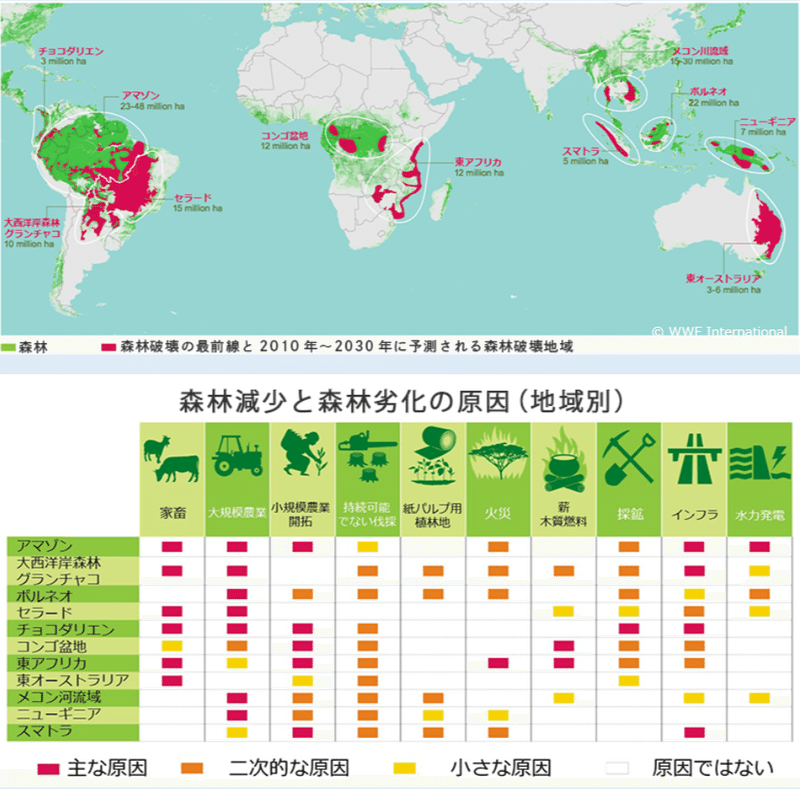 FireShot Capture 134 - 森林破壊の原因って？森林破壊を止めるために、今日からできること｜WWFジャパン｜WWFジャパン - www.wwf.or.jp