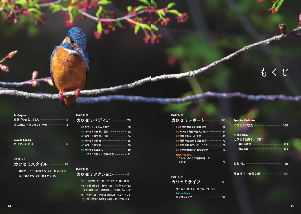 宝石のように美しい鳥・カワセミのビジュアルブックが発売｜カンゼン