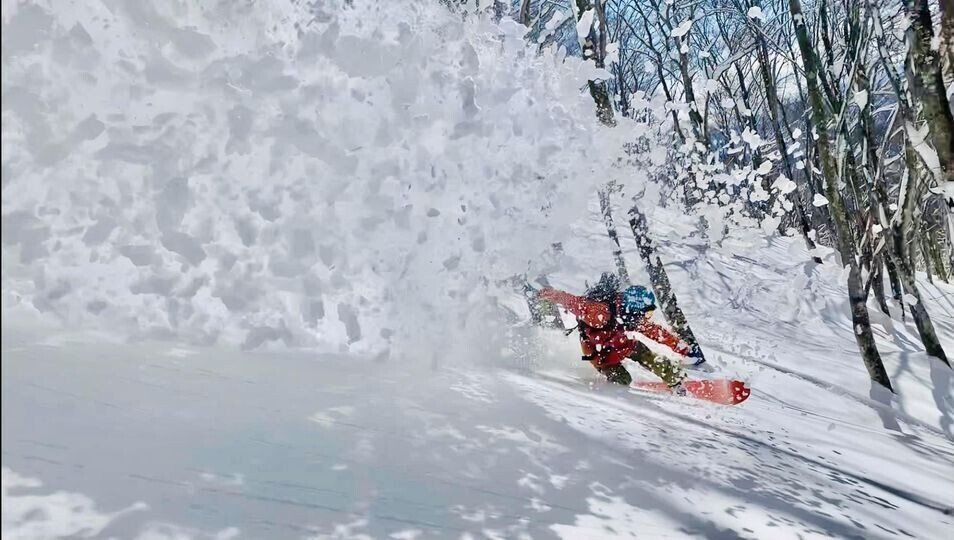 HAKUBA Special ピンク スノーボード HAKUBA Special ピンク スノーボード the day.白馬パウダー