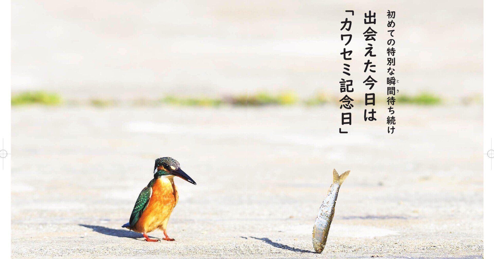 希少なセミアンティーク、縞模様の美しい九州メノウのタイピン