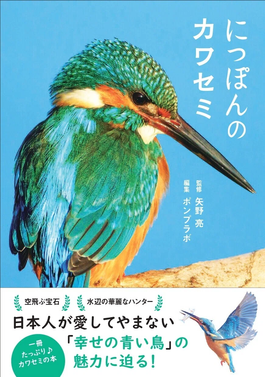 宝石のように美しい鳥・カワセミのビジュアルブックが発売｜カンゼン