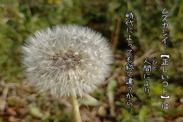 たんぽぽの綿 の新着タグ記事一覧 Note つくる つながる とどける