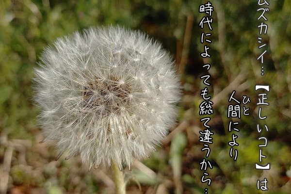 たんぽぽの綿 の新着タグ記事一覧 Note つくる つながる とどける