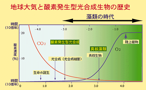 廃校プロジェクト5 光合成とco2の削減関係 Ikesan Come Back Anytime Note 廃校プロジェクト5 光合成とco2の削減関係 Ikesan Come Back Anytime Note