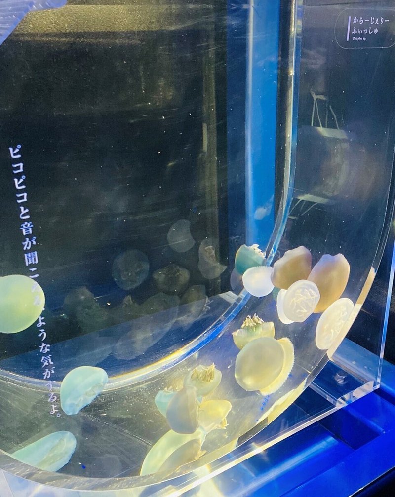 水族館行ったよ くらげ多め O アイニチ株式会社 スタッフブログ Note 水族館行ったよ くらげ多め O アイニチ株式会社 スタッフブログ Note