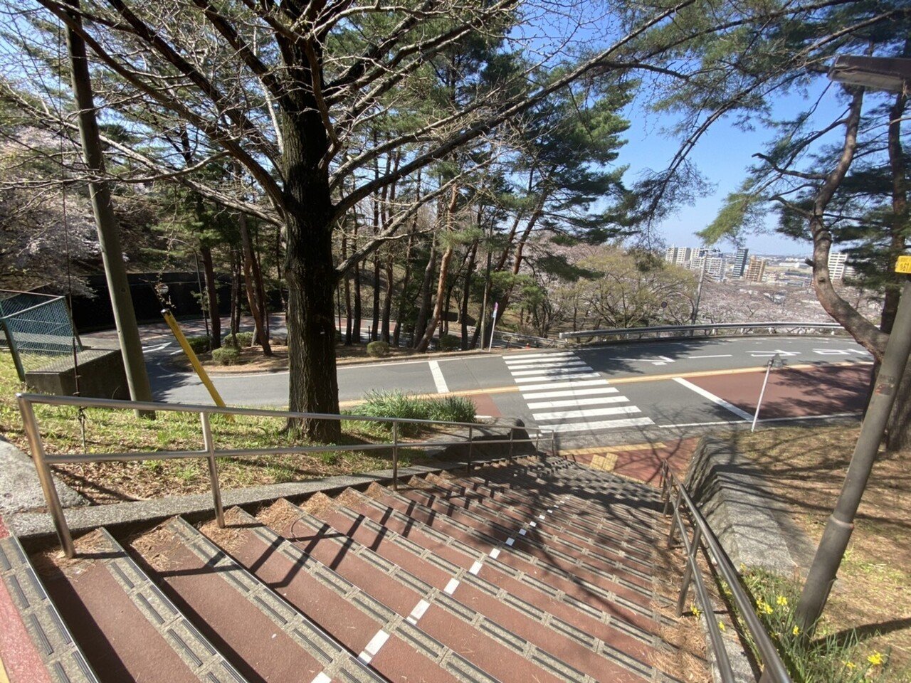 耳をすませば」の舞台、聖蹟桜ヶ丘を聖地巡り！～作品と実物を