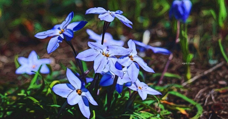 3月26日 誕生花は花韮 誕生花短歌 御子柴 流歌 Note