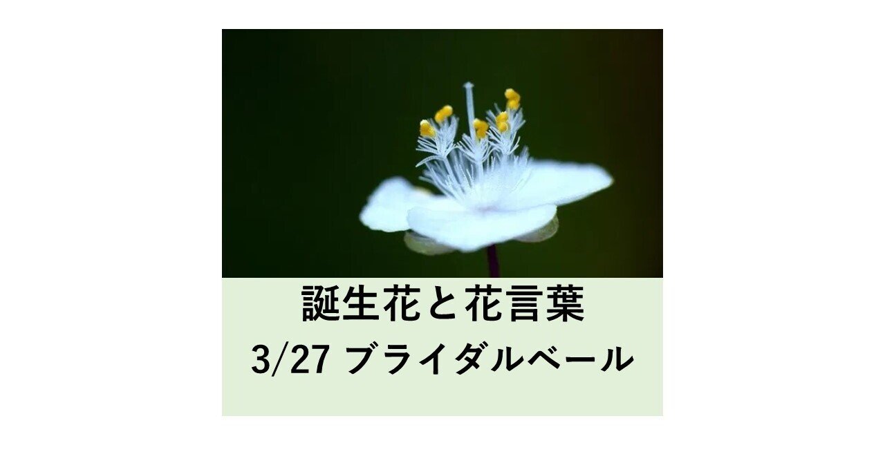 3 27の誕生花と花言葉 ブライダルベール 北島和泰 志茂 Note