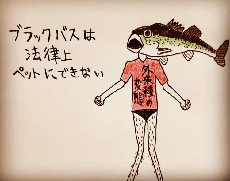 フリーザさんはかわいいもの大好き の新着タグ記事一覧 Note つくる つながる とどける フリーザさんはかわいいもの大好き の新着タグ記事一覧 Note つくる つながる とどける