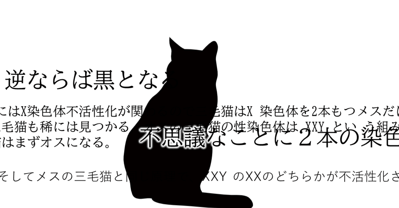 三毛猫の毛 Kawabi Note