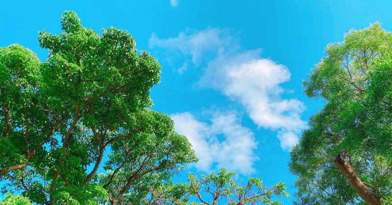 今ある豊かさや幸せに感謝すると もっと豊かに幸せになる Nagisa Note