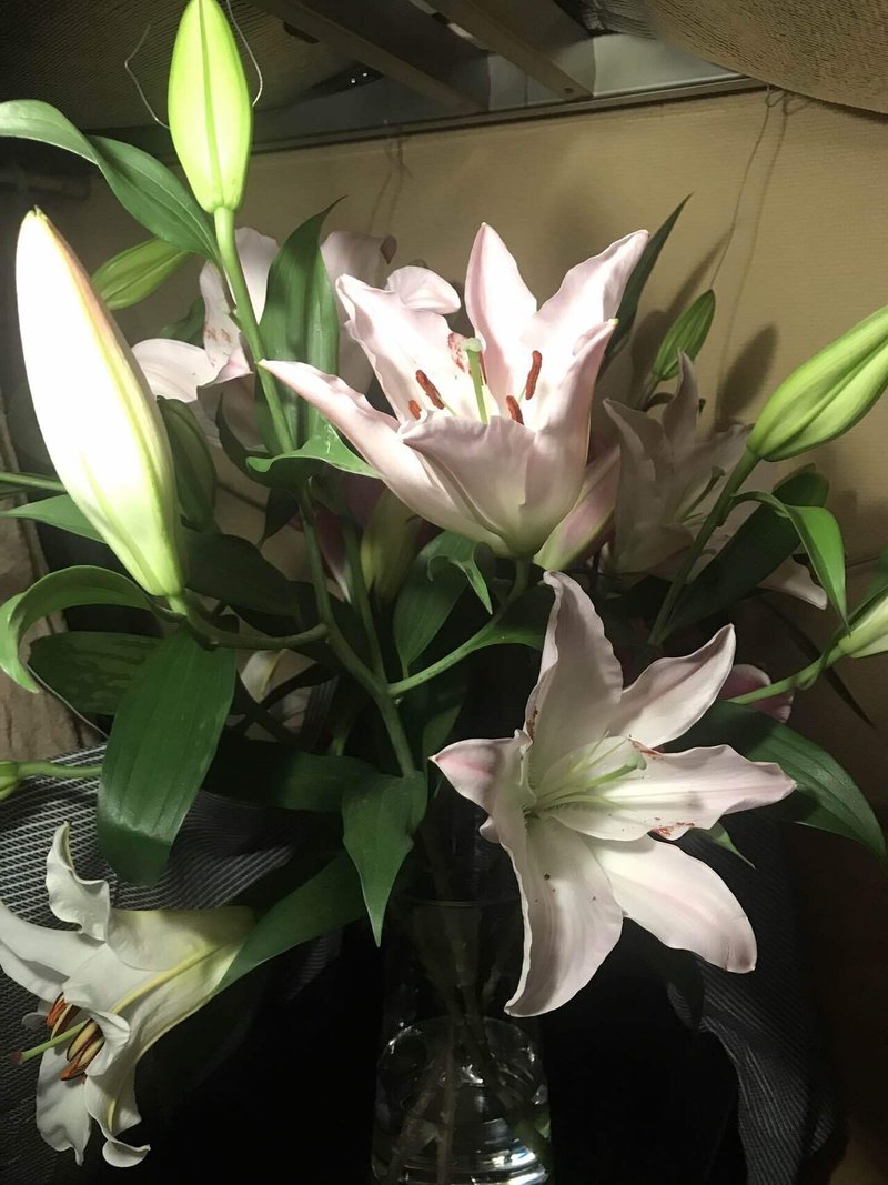 生活に潤い 癒しを 花屋さんもびっくりした癒される長持ち切り花のやり方 Zi Kill Hyde じきはいさん Note