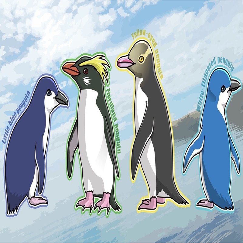 野生ペンギンに出逢える国・ニュージーランド｜ペンギン好きぃ／鈴木起世美