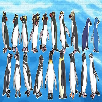 野生ペンギンに出逢える国・ニュージーランド｜ペンギン好きぃ／鈴木起世美