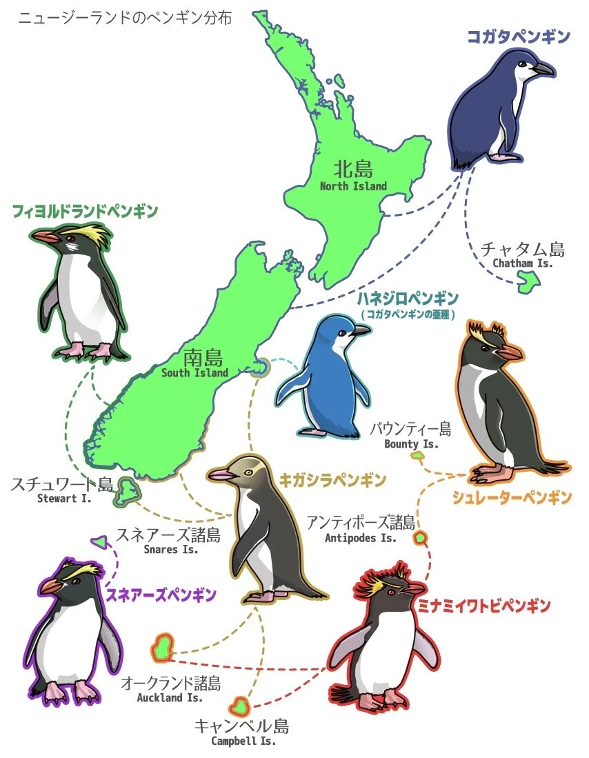 フィヨルドランドペンギン ニュージーランドプルーフセット 2005年発行 野生ペンギンに出逢える国・ニュージーランド｜きぃ起世美
