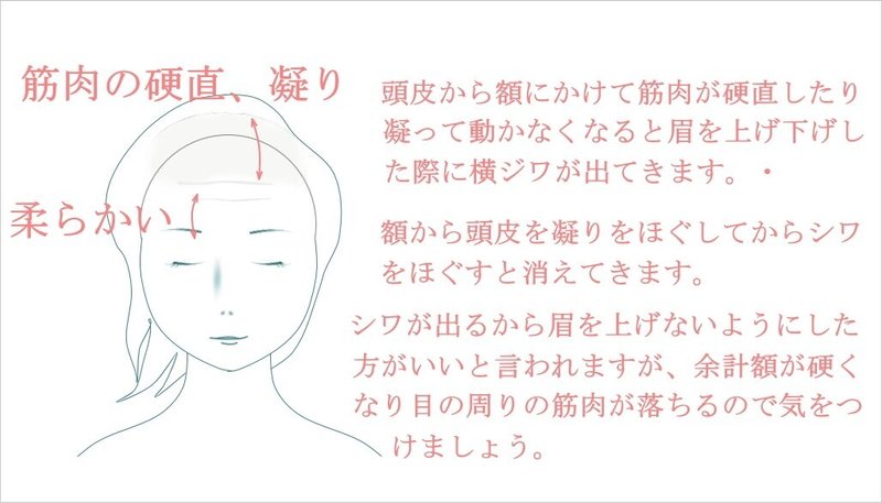 額の横シワを無くす方法 ストレッチと顔筋マッサージ方法 お顔の整体師 戸塚哲春 Note