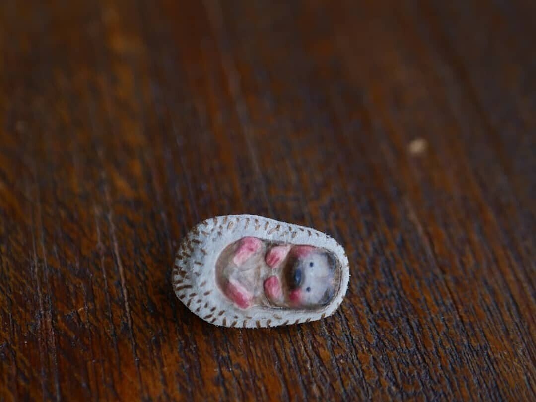 わかったか ちゃんぽんめん 高橋昭子 Note