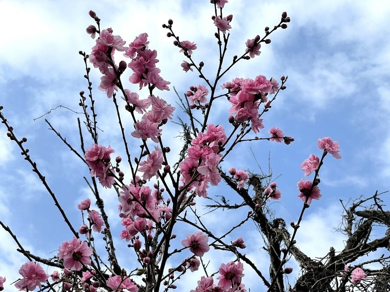 天気が崩れる前に じぇいかわ じぇいかわさき Note