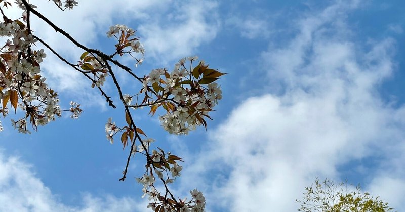 天気が崩れる前に じぇいかわ じぇいかわさき Note