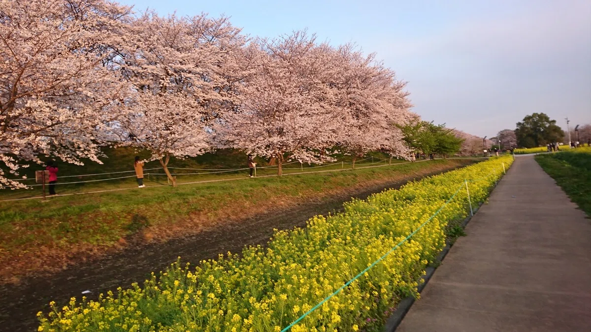 画像2