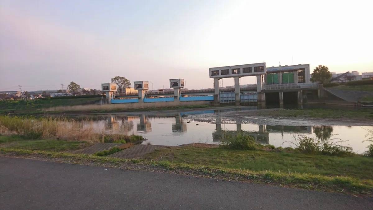 画像5