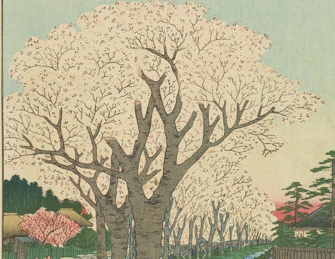 安藤歌川広重　桜の花見 浮世絵 版画 おうちでお花見♪ 北斎・広重の浮世絵で楽しむ桜｜【北斎今昔