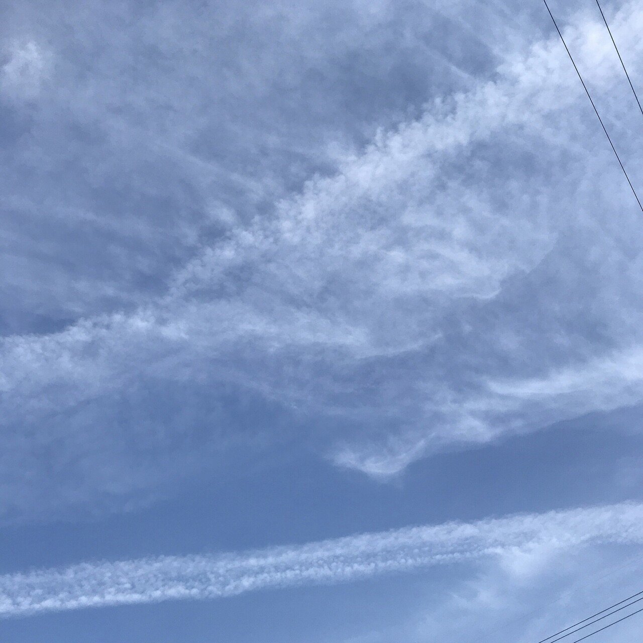 うろこみたいな雲が帯状に広がる土曜日の朝の桜 百葉 Note