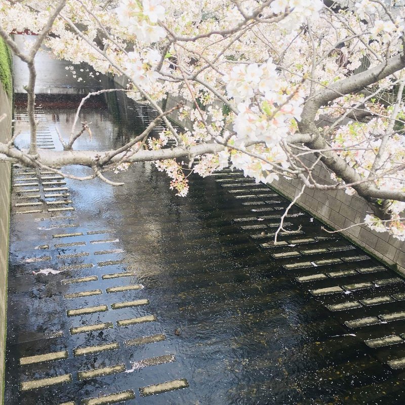 つま先で恋してた めぐろ川 ゆかまる Note つま先で恋してた めぐろ川 ゆかまる Note