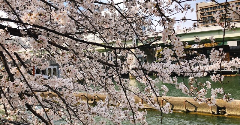 お花見日和 中之島リバーサイドにて 馬場大輔 Note お花見日和 中之島リバーサイドにて 馬場大輔 Note