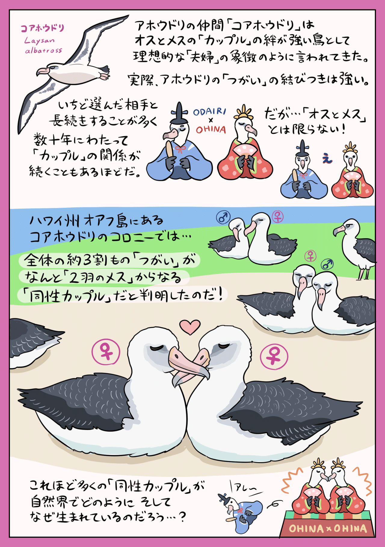 動物界にも多様な 愛 コアホウドリの 同性カップル 図解 ぬまがさワタリ Note 動物界にも多様な 愛 コアホウドリの 同性カップル 図解 ぬまがさワタリ Note