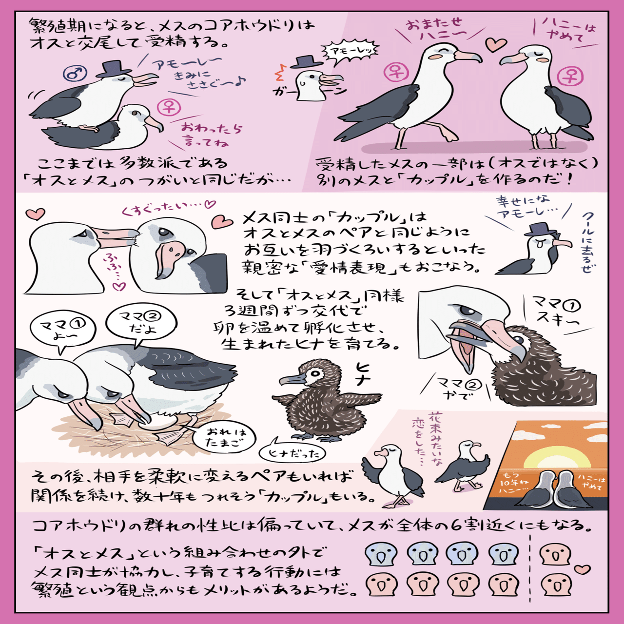 動物界にも多様な 愛 コアホウドリの 同性カップル 図解 ぬまがさワタリ Note