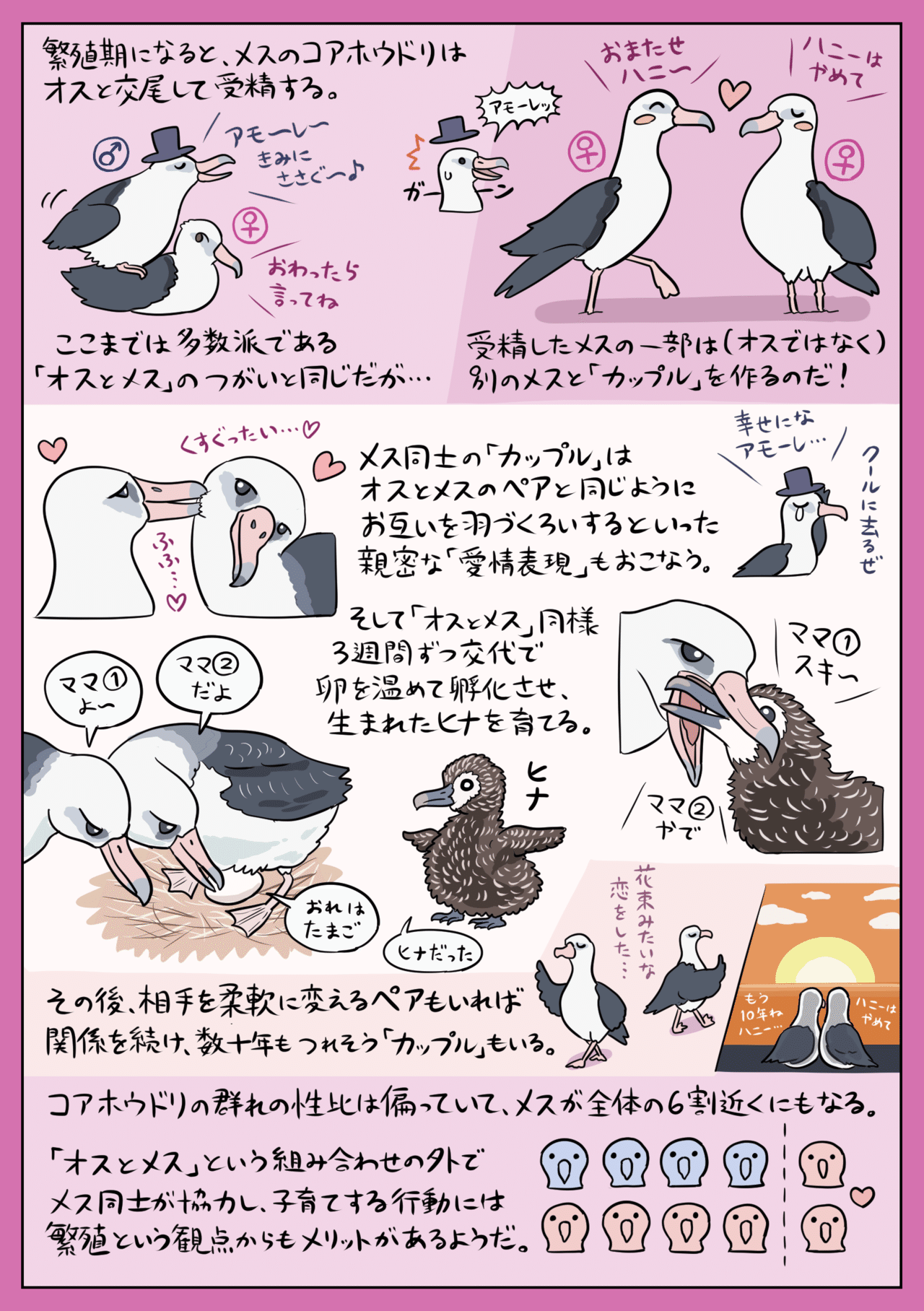 動物界にも多様な 愛 コアホウドリの 同性カップル 図解 ぬまがさワタリ Note 動物界にも多様な 愛 コアホウドリの 同性カップル 図解 ぬまがさワタリ Note