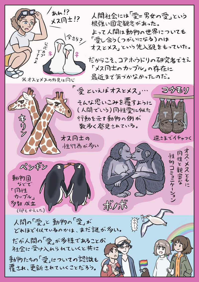 動物界にも多様な 愛 コアホウドリの 同性カップル 図解 ぬまがさワタリ Note 動物界にも多様な 愛 コアホウドリの 同性カップル 図解 ぬまがさワタリ Note