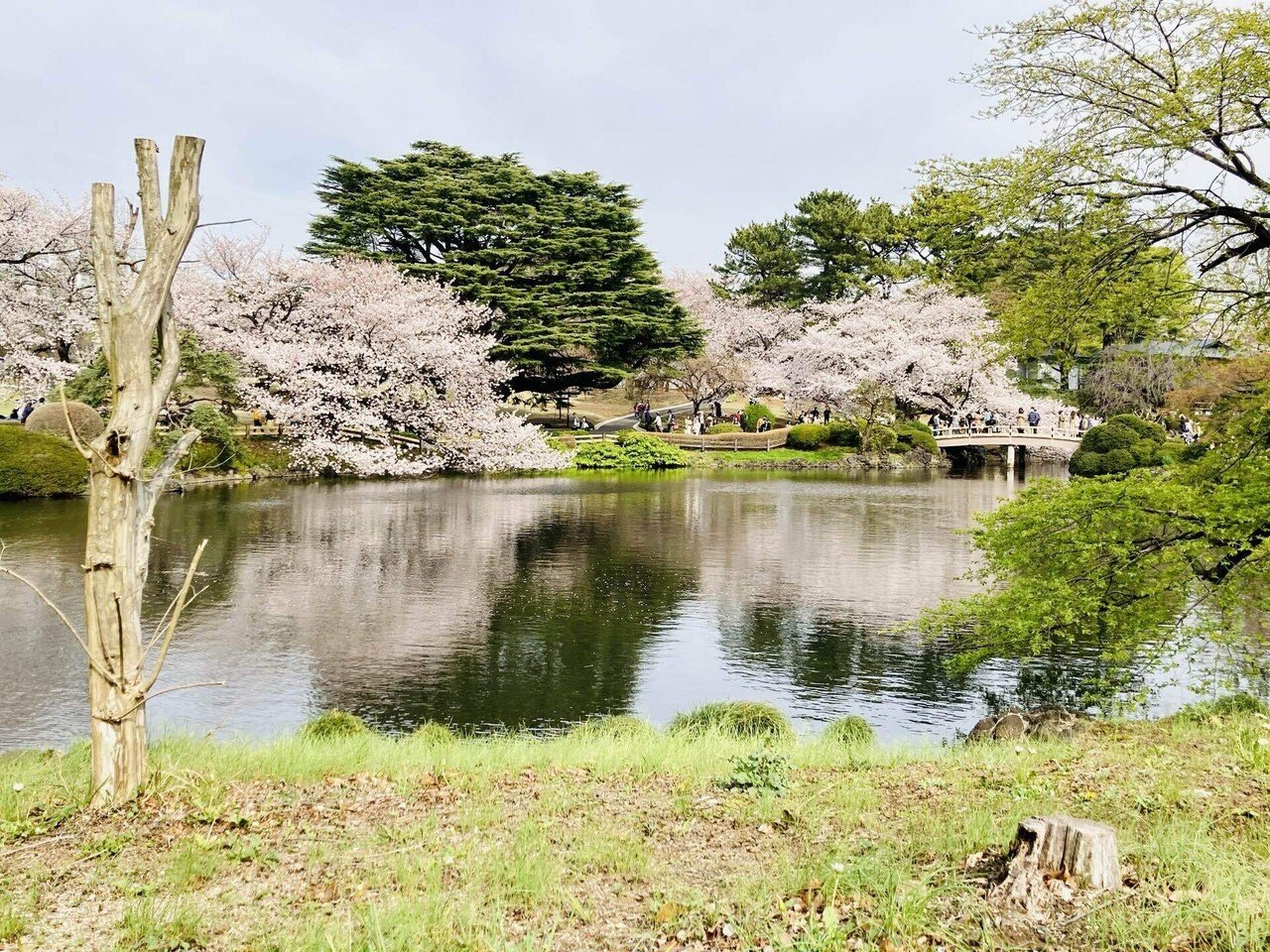 春の景色 海野 詩音 Note 春の景色 海野 詩音 Note