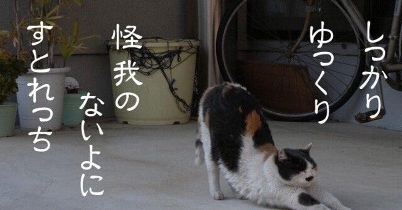 英語の練習は毎日やるのが大事 Ayako ニコハチ英語 Note