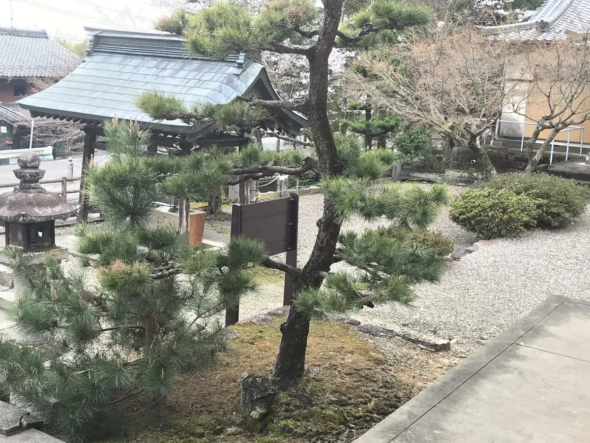 画像7