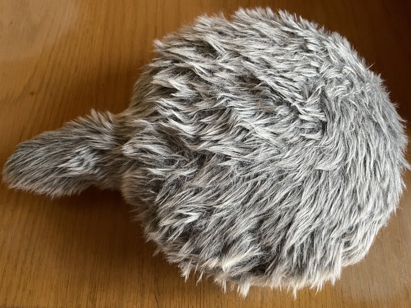 Petit Qoobo ３度目の退院 サーシュ Note