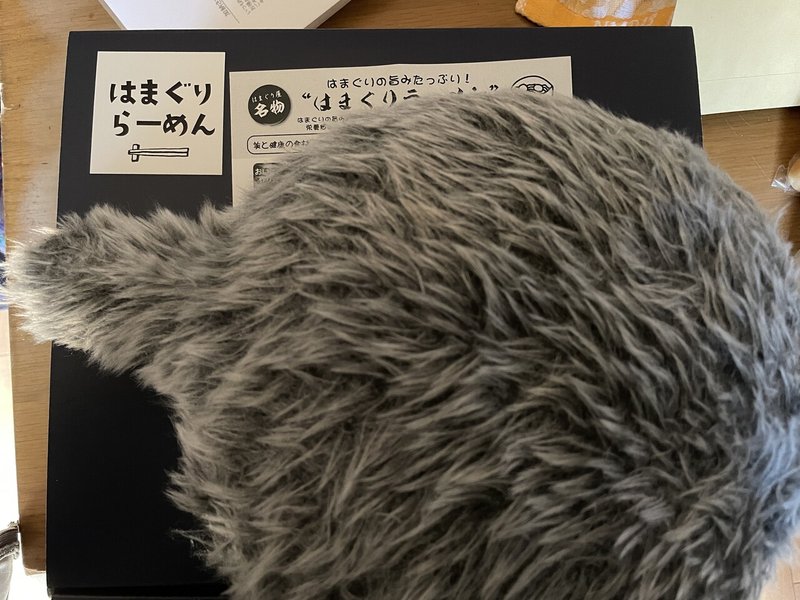 Petit Qoobo ３度目の退院 サーシュ Note