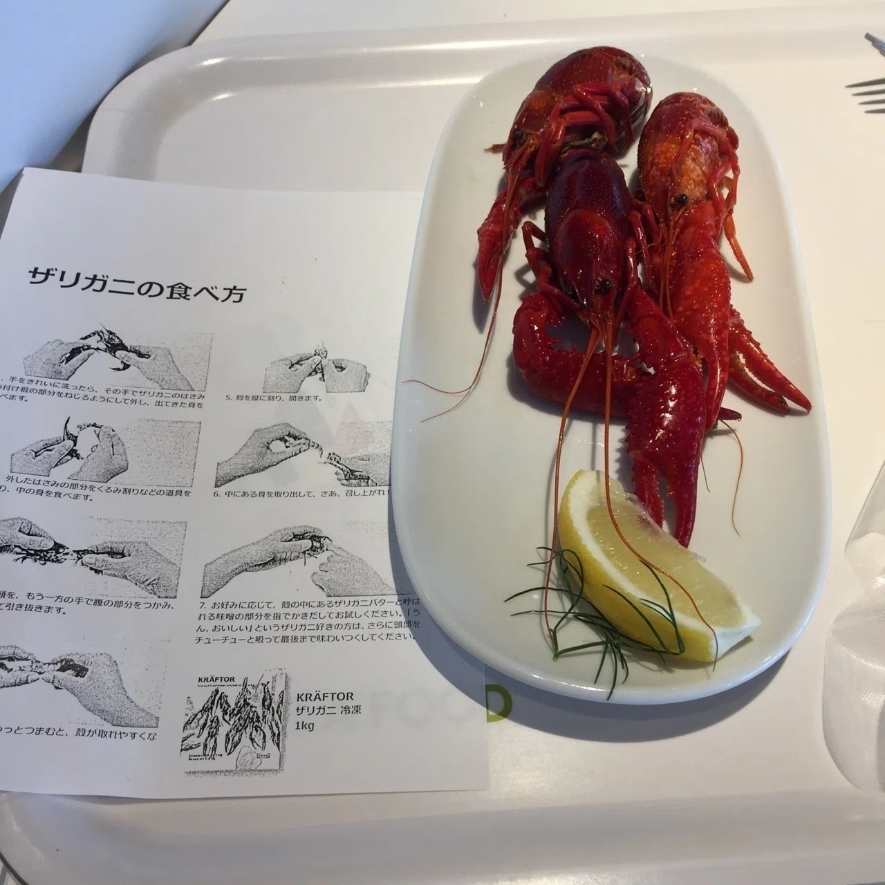 蟹味噌を食べるときの参考になるマルソデカラッパ ？ 標本 甲殻類 エビ ザリガニ ザリガニを食えってイケアが言うから｜yuukee