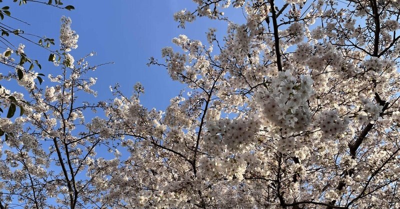 これから先の未来に