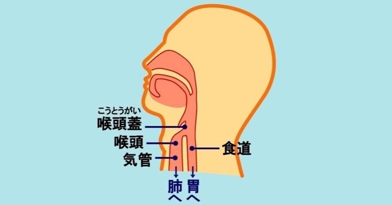 親を見送るということ- 私の喉にも違和感が 編 -