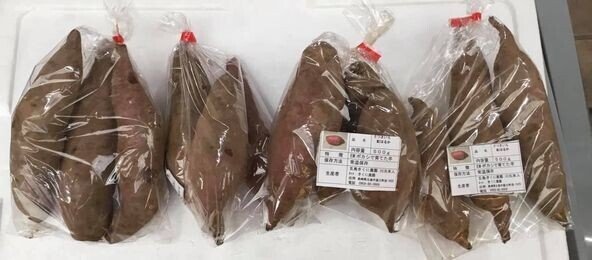 新商品開発2 かんころ 干し芋 五島つばき商店 Note 新商品開発2 かんころ 干し芋 五島つばき商店 Note