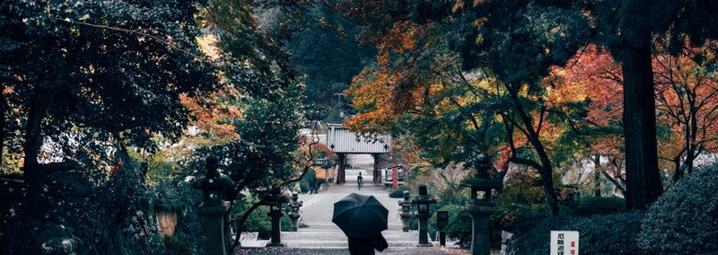 インスタグラマーが撮る神社仏閣写真集プロジェクト