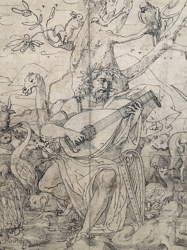 ルネサンス時代のスケッチに見るリュート｜坂本龍右